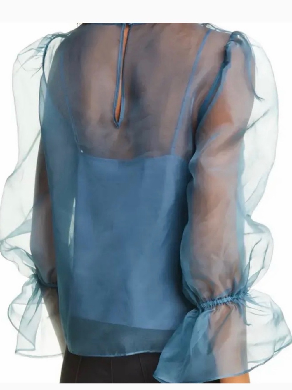 cinq a sept Blue Sheer Organza Puff Sleeve Top - Picture 2 of 2